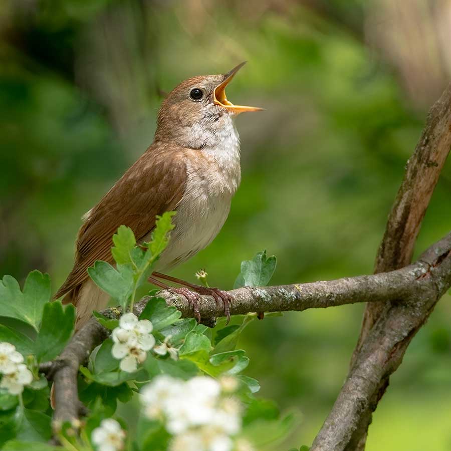 AdobeStock_328602012